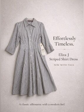 Eliza J Striped Shirt Dress NWT Nordstrom Fit & Flare Size 12P